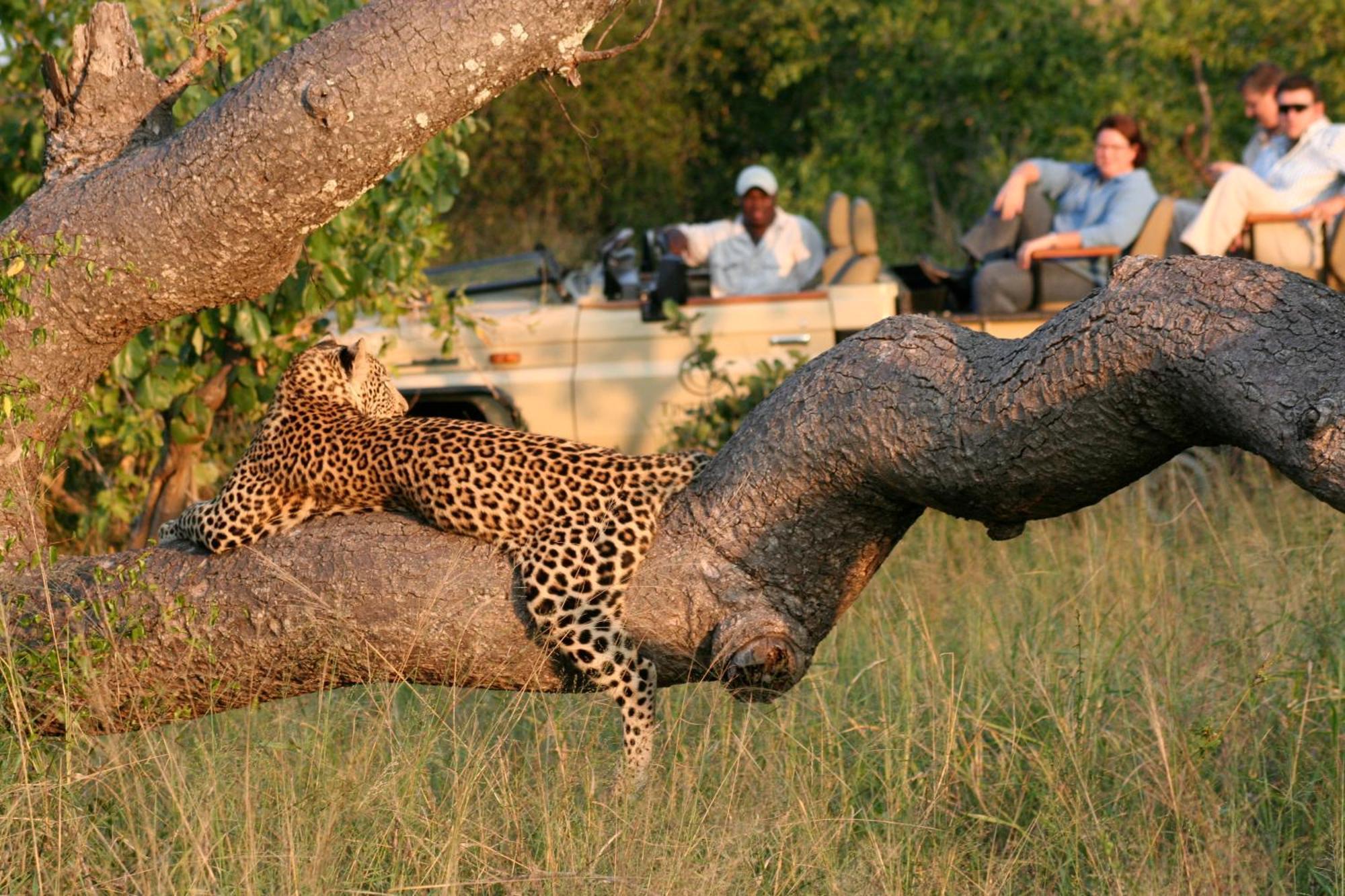 Tintswalo Safari Villa Manyeleti Game Reserve Exterior photo